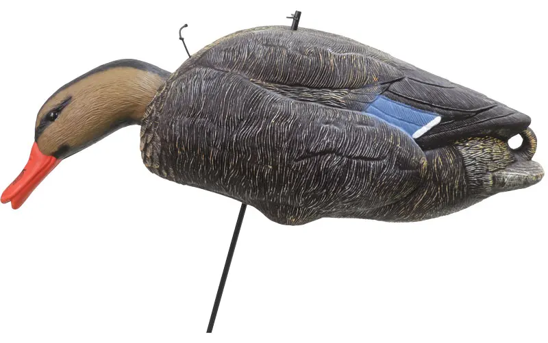 DK5674H-011.jpg