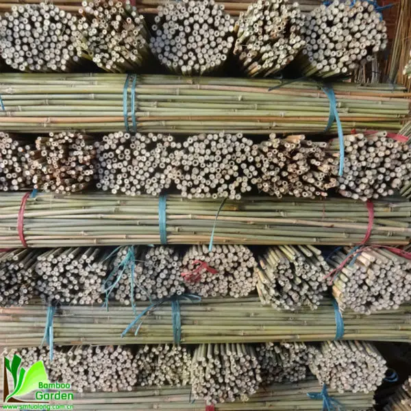 
Good Agricultural Products Price Treated Bamboo Poles 