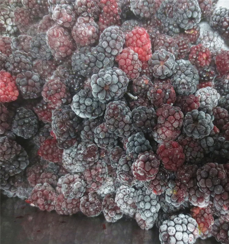 Berries iqf frozen blackberry fruit