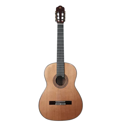 

NTS-N1C 2021 hot sale red pine veneer back mahogany gloss/matte high quality 39 inch classical guitar