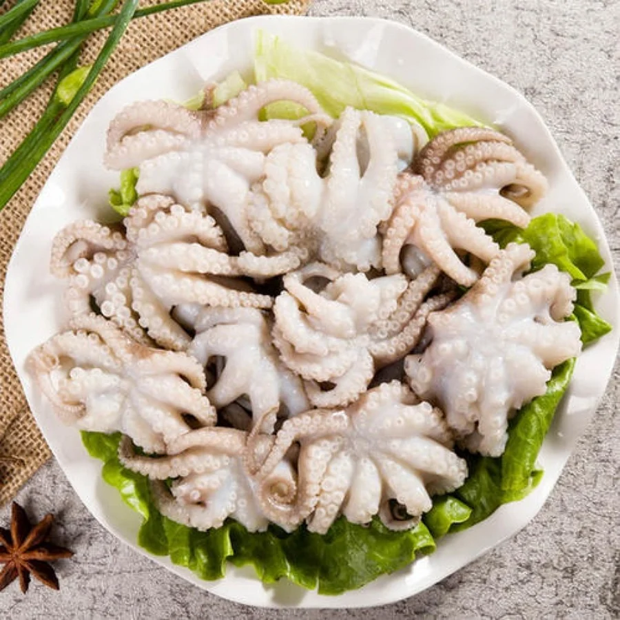 
Whole cleaned frozen delicious baby octopus (Certification: HACCP...) 