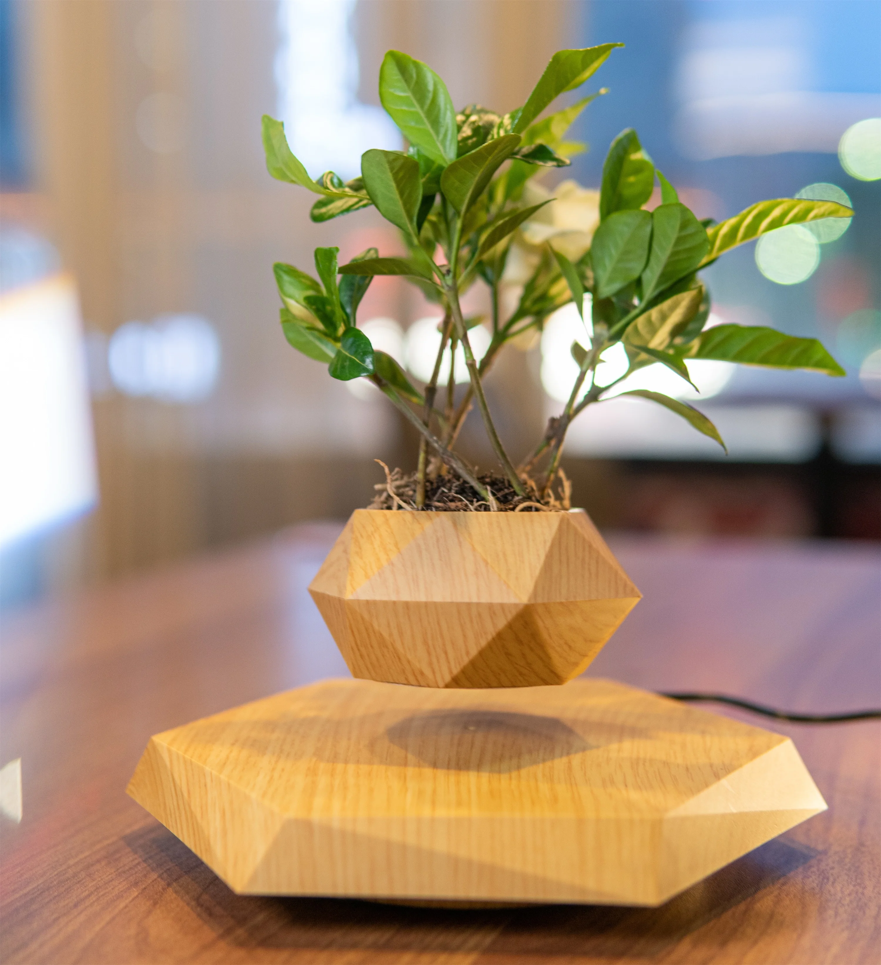 

Magnetic Levitating Pot Rotating Floating Plant Pot Creative and Unique Gifts Bonsai Potted Home Decoration