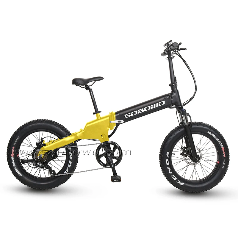 fat bike 2020