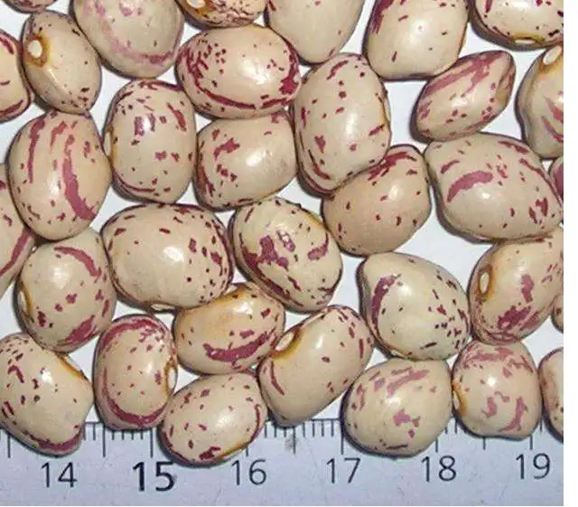 
light speckled kidney bean, Xin Jiang type(780) 