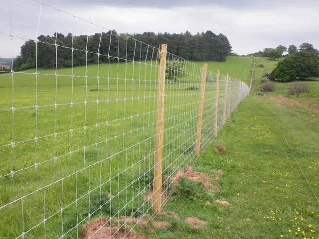 Top-selling High Tensile Deer Fencing - Buy Deer Fencing,Deer Fence 7 ...