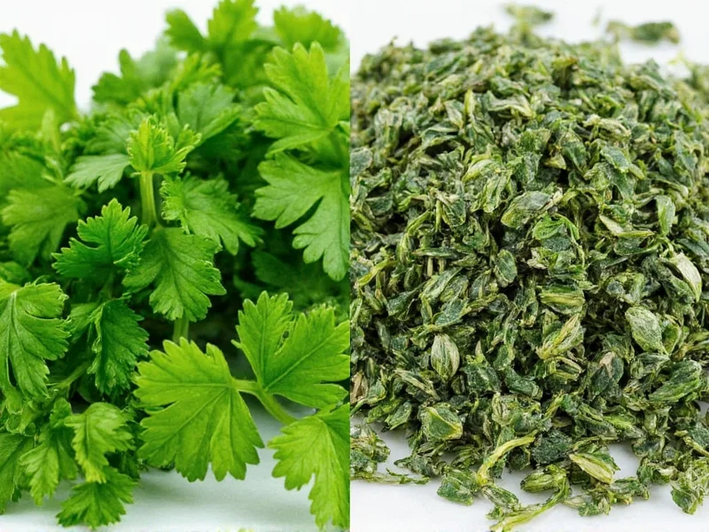 Fresh vs Dried Parsley: When to Use Each Herb Form