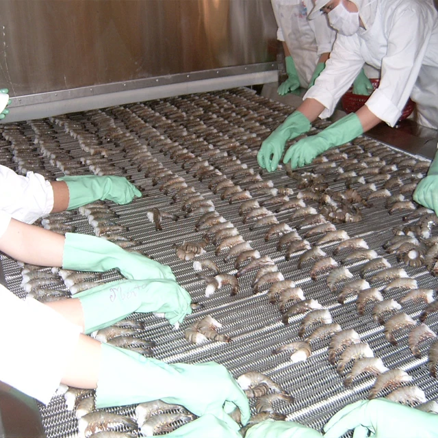 
IQF shrimp spiral freezer 