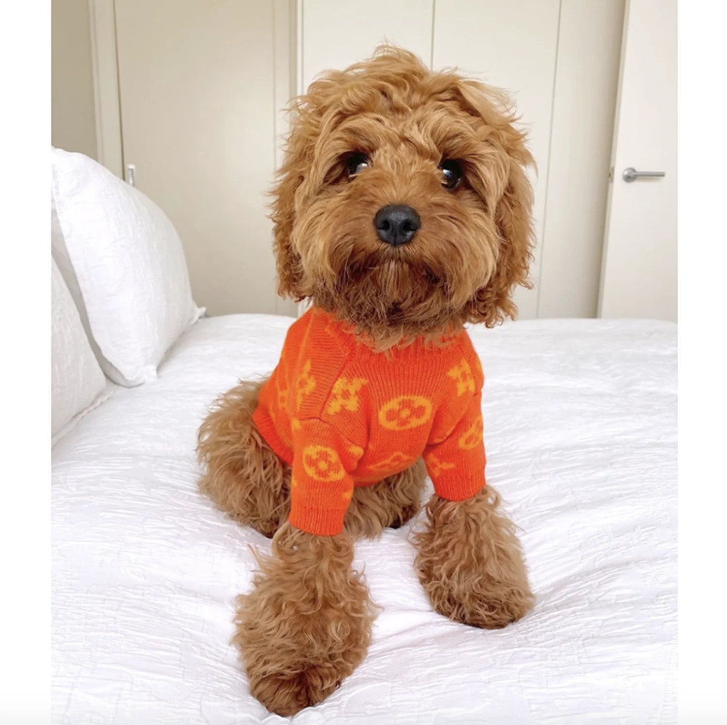 

Luxury Classic Pet Sweater Jumper Dog Striped Cardigan Teddy Sweater Fashion Brand Dog Coat Clothes, Orange ,green