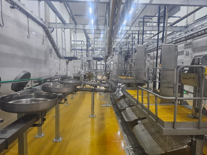 Automatic Pig Slaughterhouse Equipment Combined Scalding and Heair Remove Machine for Industrial Swine Hog Abattoir Line