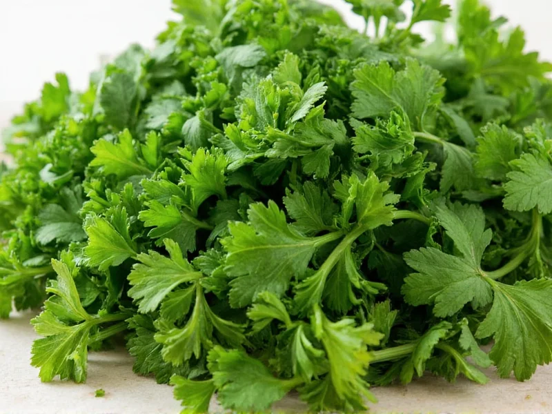 Best Dried Parsley Substitutes for Cooking