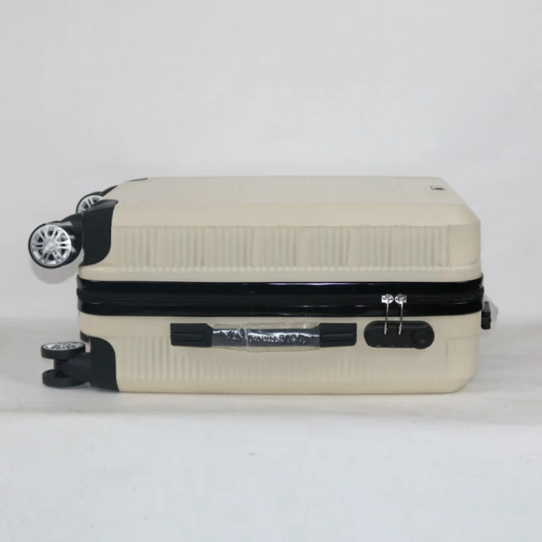 fancy luggage  (22).png