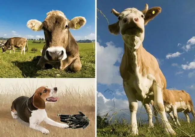 all industries  machinery  agriculture machinery & equipment