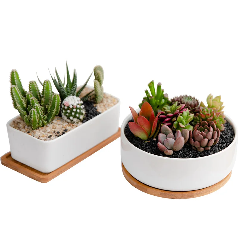 Image of Hot Sale Rectangle Round Succulent Pots White Ceramic Flower Planter With Bamboo Saucer