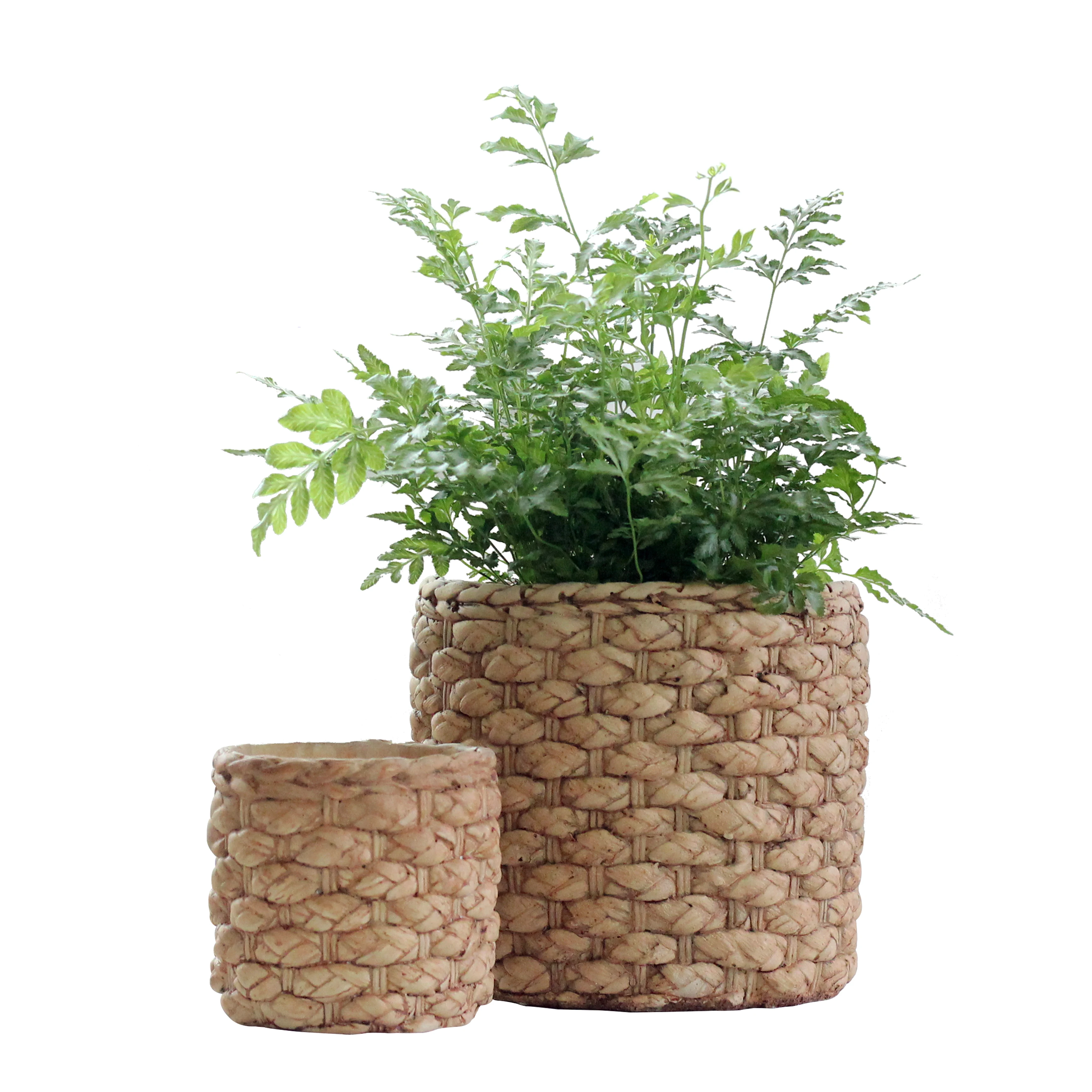 

Classic Style Cylinder Shape Traditional Weaving Design Cement Planter Pots for Home Garden Decor Flower Pot Round Decorative