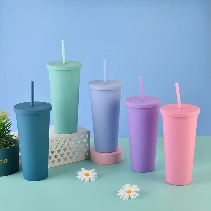 

Wholesale Custom Colorful 22oz Pastel Double Walled Plastic Sippy Cup Tumbler With Straw, Customized color