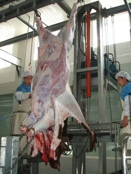 peeling machine4.jpg
