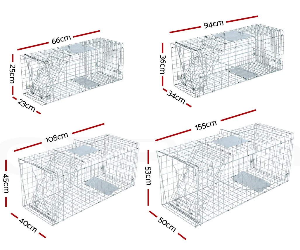 Animal Traps 12.png