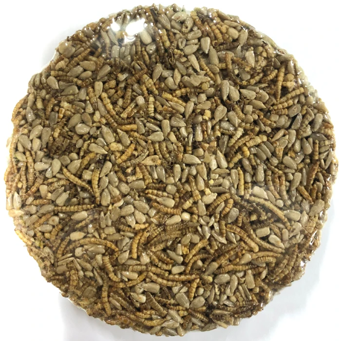 Mealworm&seeds cake.jpg