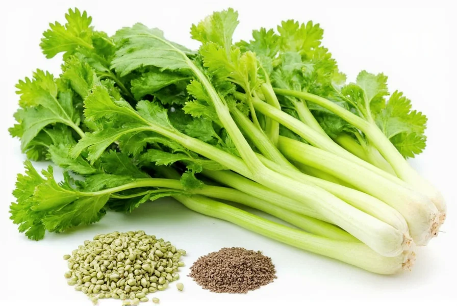 Fresh celery leaves and stalks next to celery seeds for substitution comparison