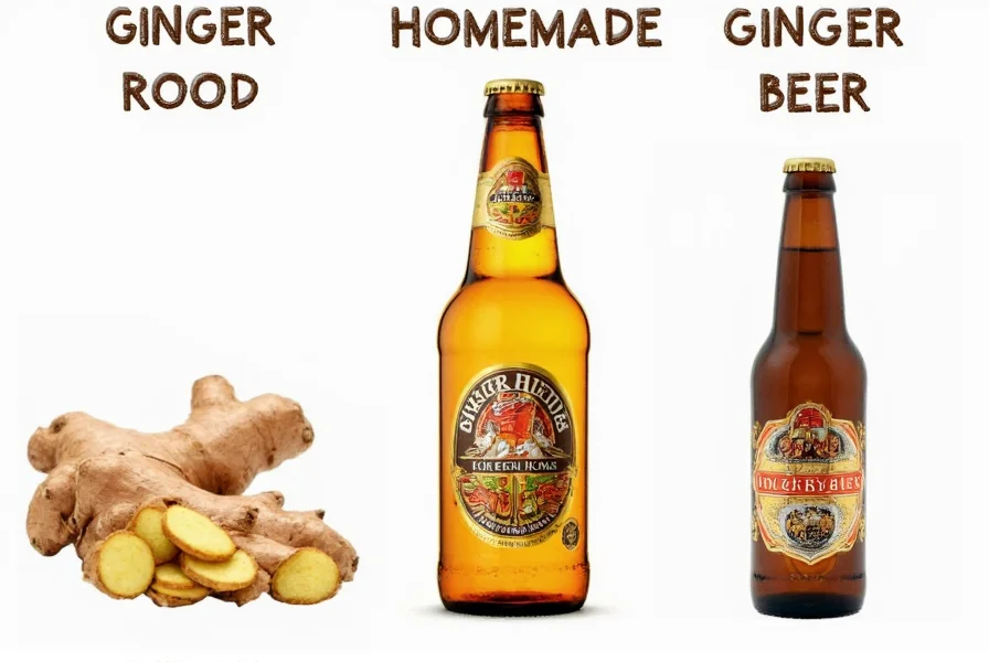 Comparison of ginger root, homemade ginger beer, and commercial ginger beer products