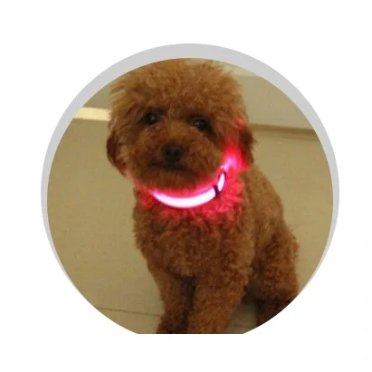 

Wholesale Durable Competitive Price Anti-Lost Large Light Private Label Dog Collar, Picture shows