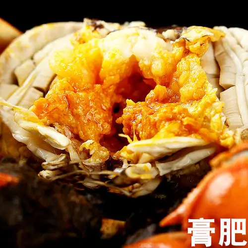 
Chinese Mitten-Handed Crab(703) 