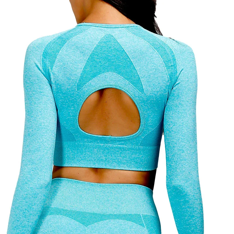 

The New 2021 Workout Top Is A Hot Yoga Long Sleeve T-Shirt And Seamless Yoga Seamless Leggings