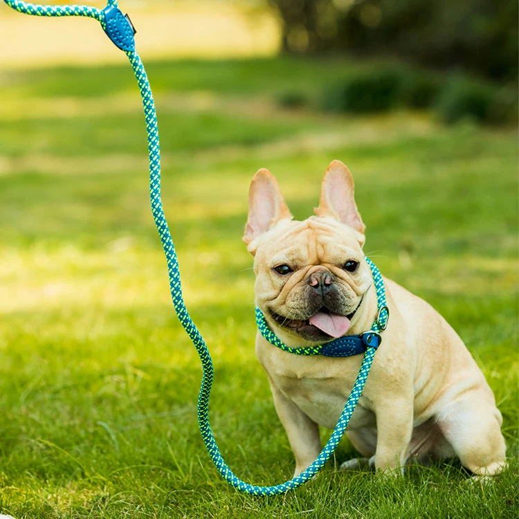 

Wholesale Reflective Large Big Dog Leash And Collar Set 2 In 1 Glow In The Dark