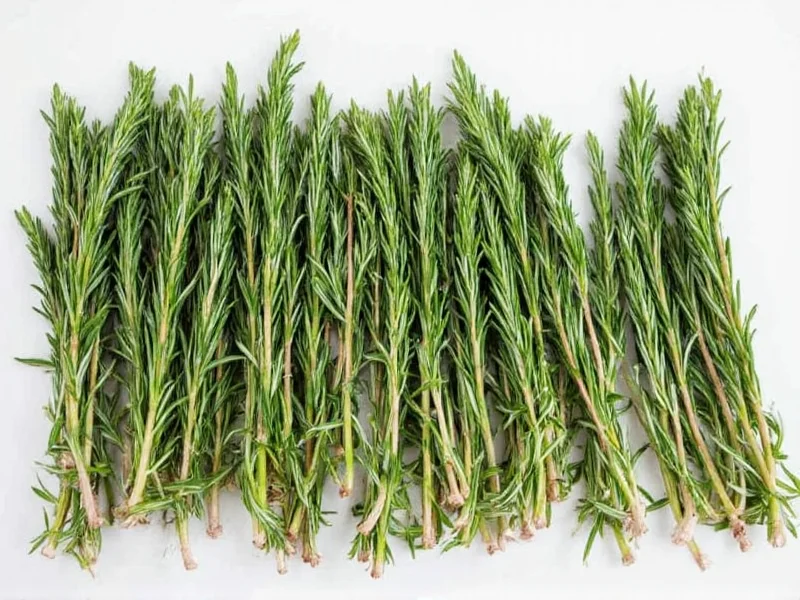 How Long Does Fresh Rosemary Last: Complete Storage Guide