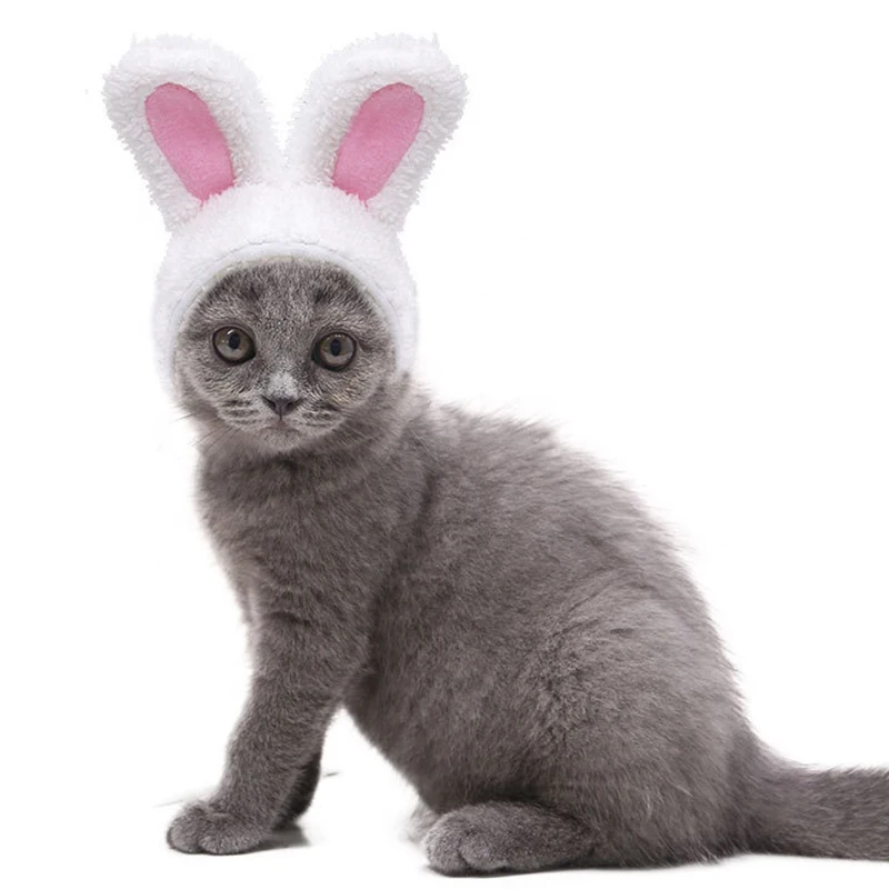

Wholesale Design Rabbit Stuffed Plush Fashion Pet Hats with Long Ears For Small Cats And Dogs, Picture
