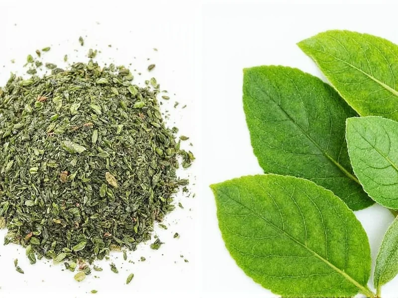 Rubbed Sage vs Sage Leaves: Key Differences Explained