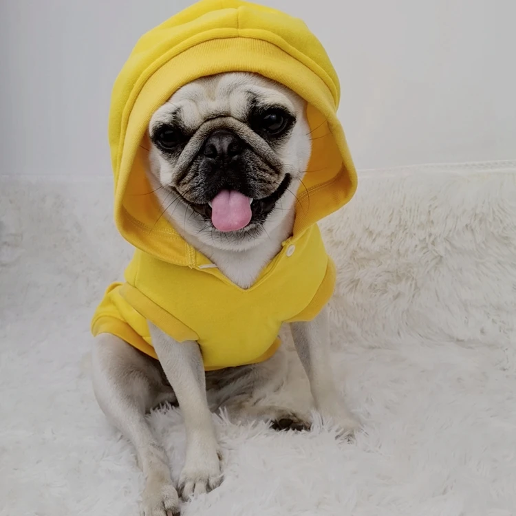 

Drop Shipping Fashion Trendy Dog Clothes Clothing Designer Pet Clothes Dogs Hoodies