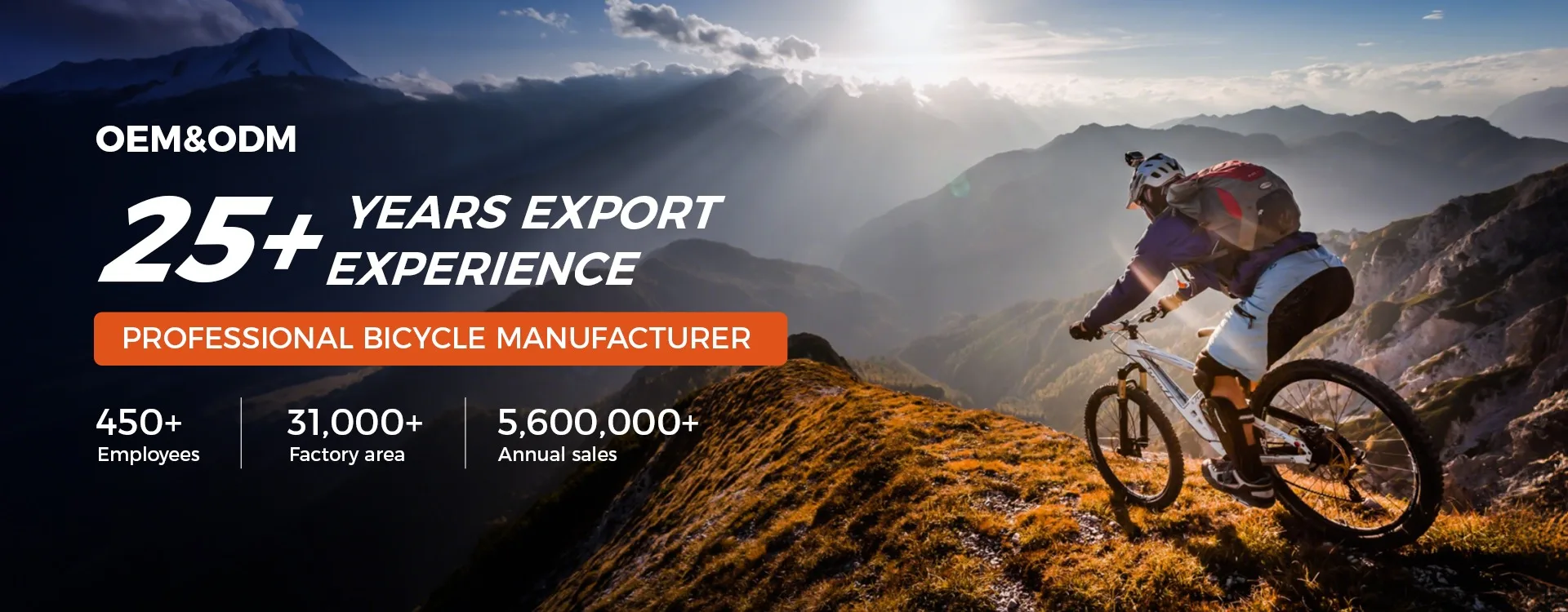 Mountain bike manufacturer