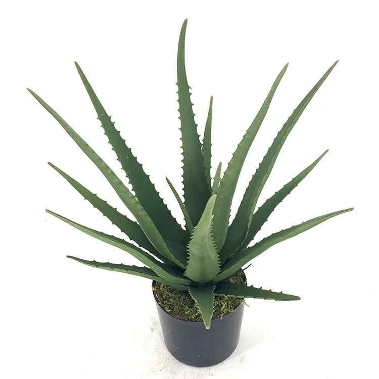 

Wholesale Artificial Faux Aloe Agave Plants Simulation Decorative Green Plastic Plant