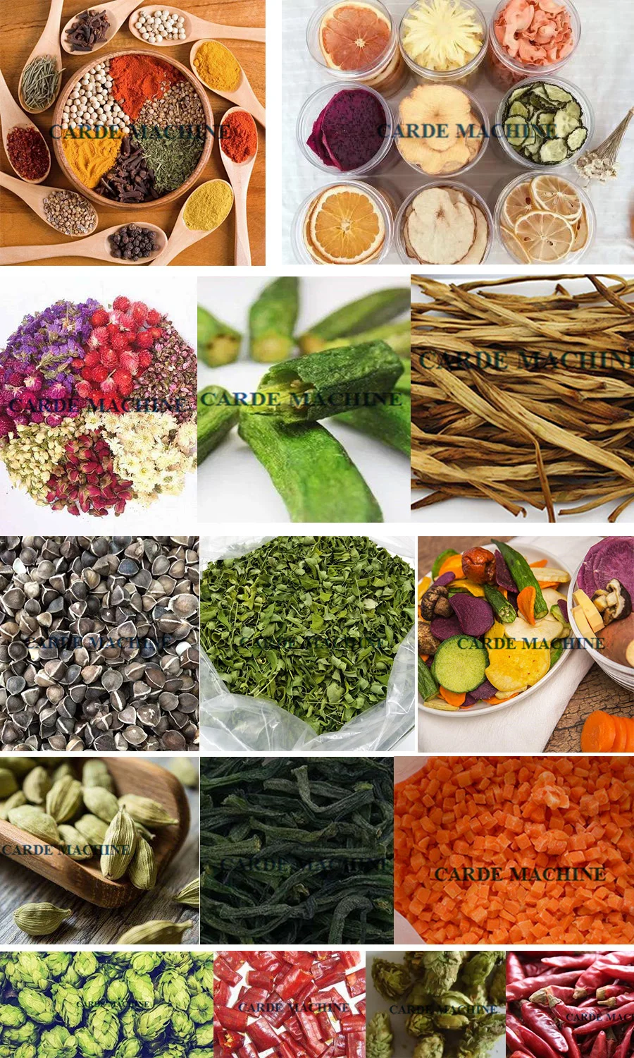 Multi-layer dryer (5).jpg