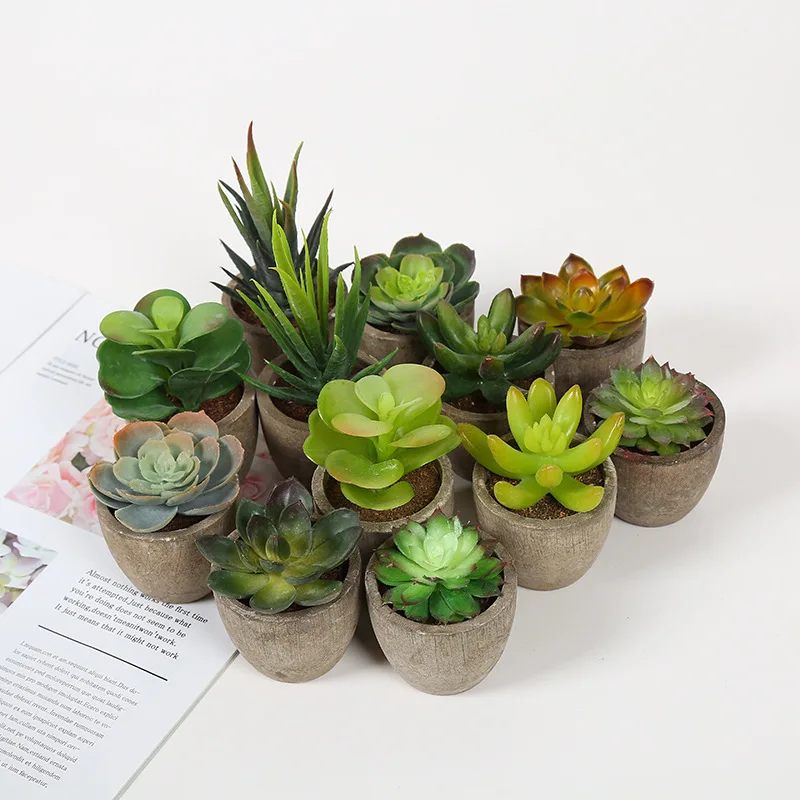 

M03357 New Arrival Mini Unpotted Tabletop Plant Indoor Decoration Artificial Plastic Succulents