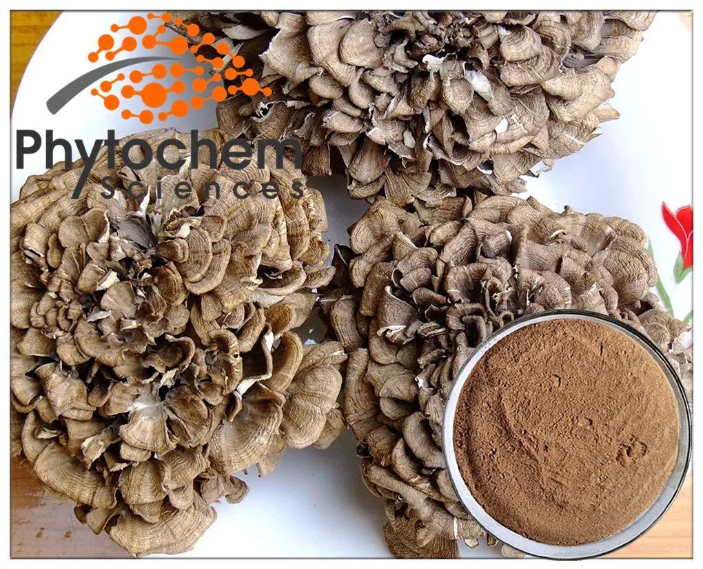 Super Reishi Shiitake Maitake Mushroom Extract Maitake Mushroom