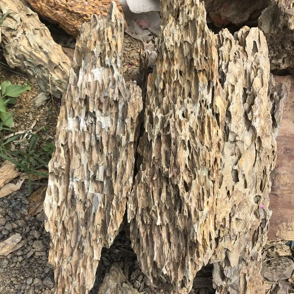 4070cm Outdoor Garden Landscaping Dragon Stone Chunks Buy Dragon