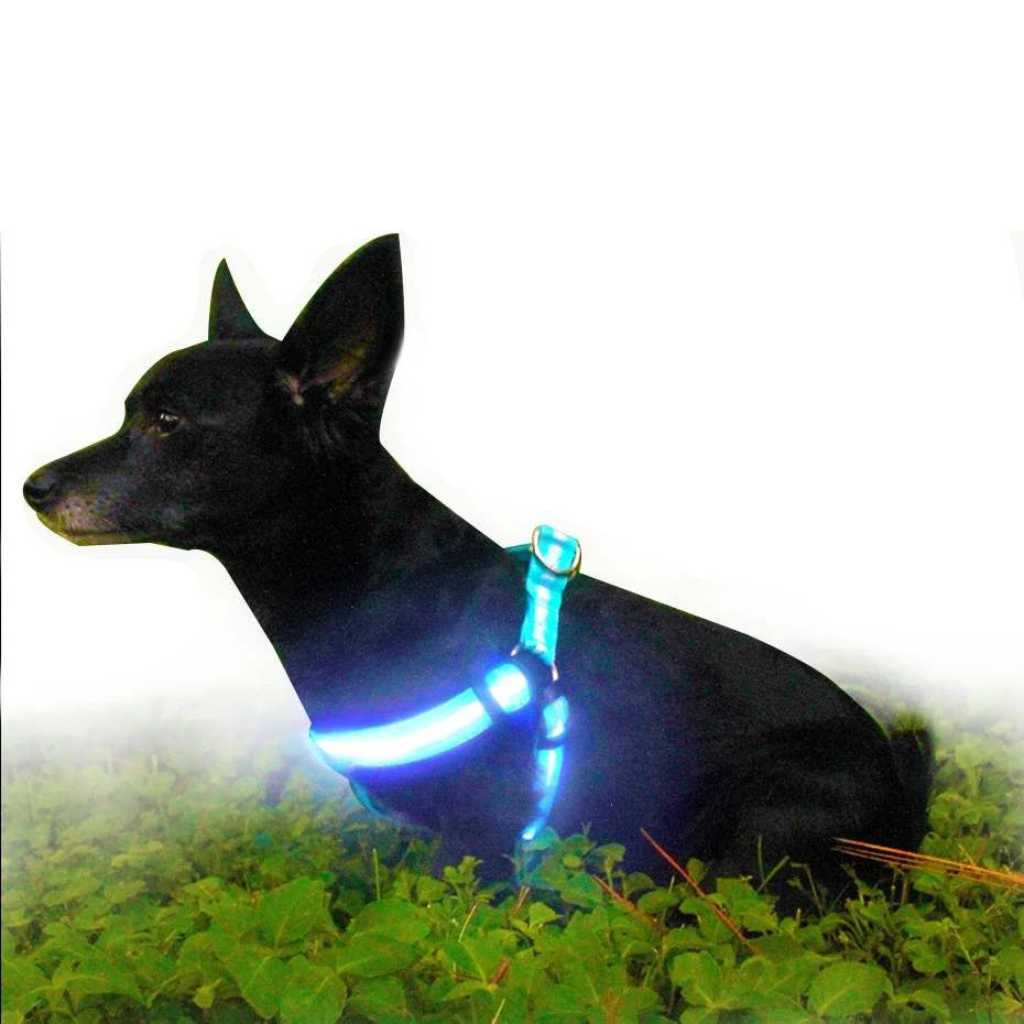 

China factory supply led light flashing dog harness with 8 different colours