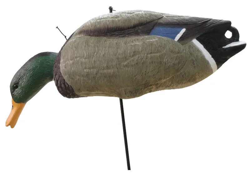 DK5674D-011.jpg