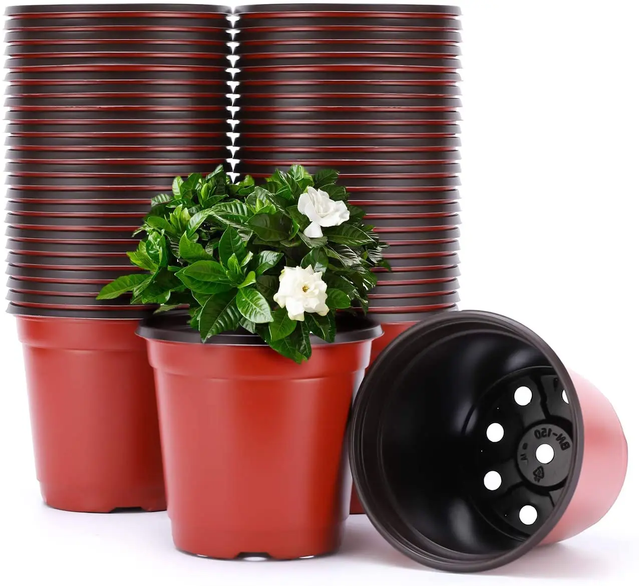 

H477 Wholesales Multiple Sizes Plant Nursery Pots Home Garden Transplant Plastic Flower Pot, Red and black