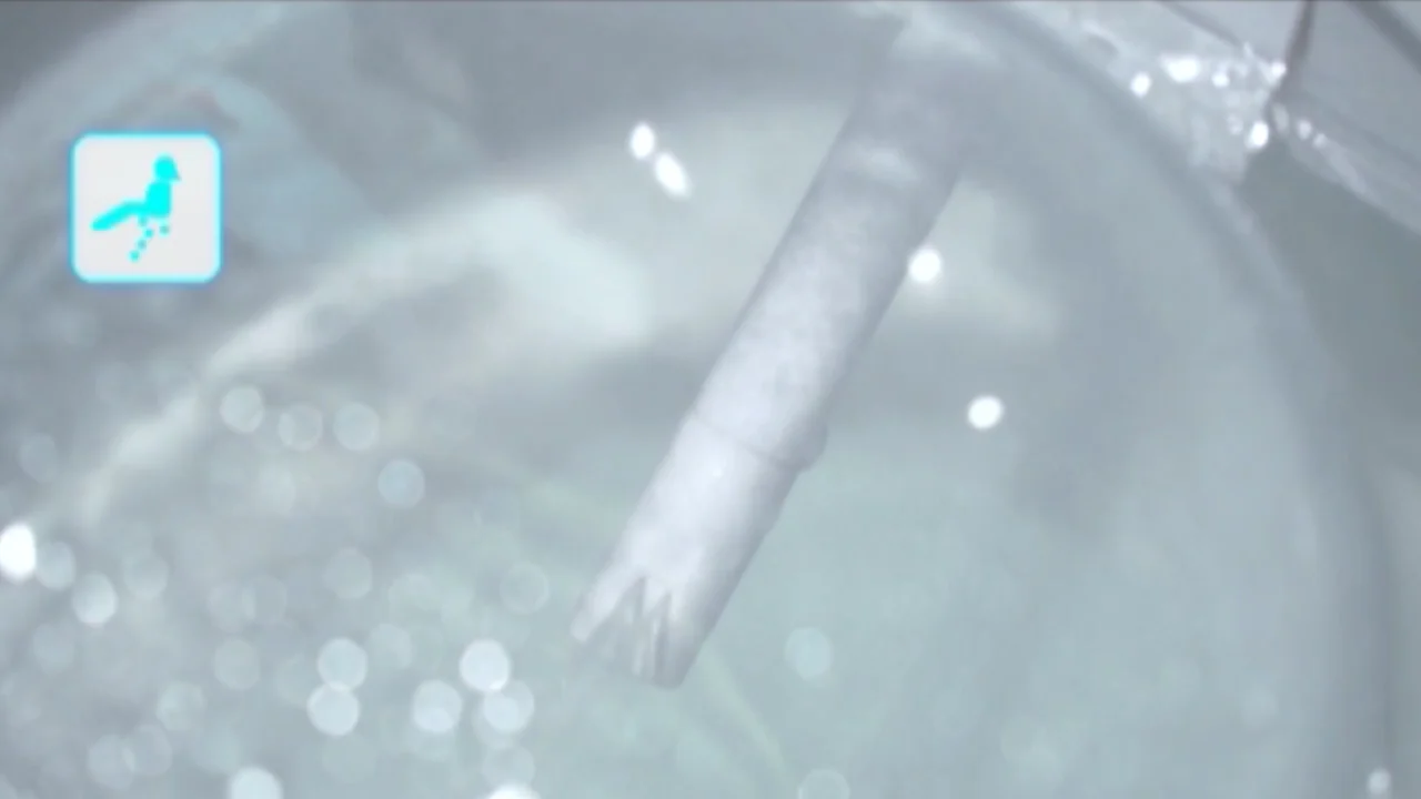 Adjustable Automatic Toilet Bowl Cleaner Digital Bidet Seat Buy