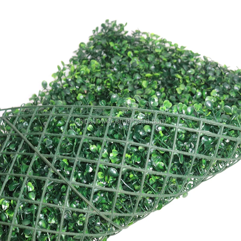 green grass wall   (4).jpg