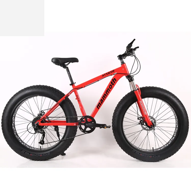 

Beyond Sport Carbon fat tire bicycle aluminum alloy bicycle carbon bicycle high quality