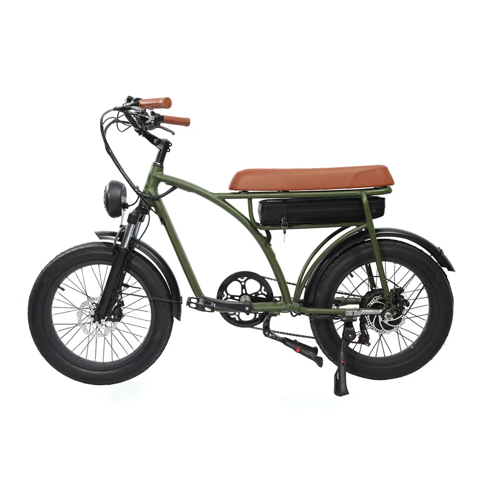 

14 speeds e bike 20inch 750w large power 10.0ah portable electric bicycle Hot sale electric bike