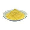 Organic Mango Powder Bulk Mango Fruit Powder