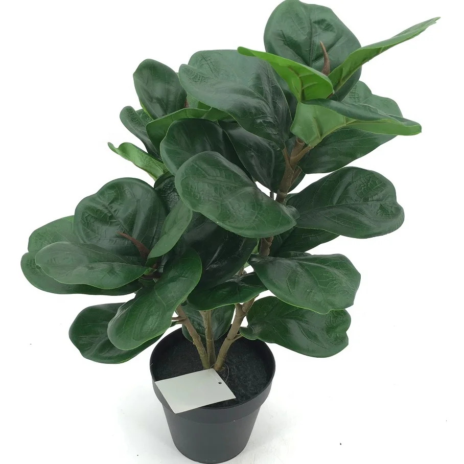 

Small size quality ficus lyrata artificial bonsai tree plant fiddle leaf fig tree