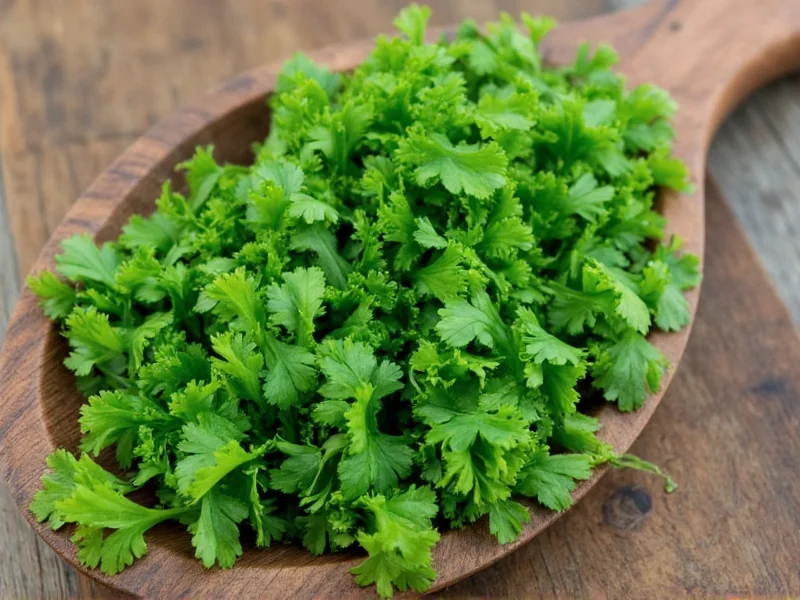 Can You Dry Cilantro? Yes, Here's How to Do It Right