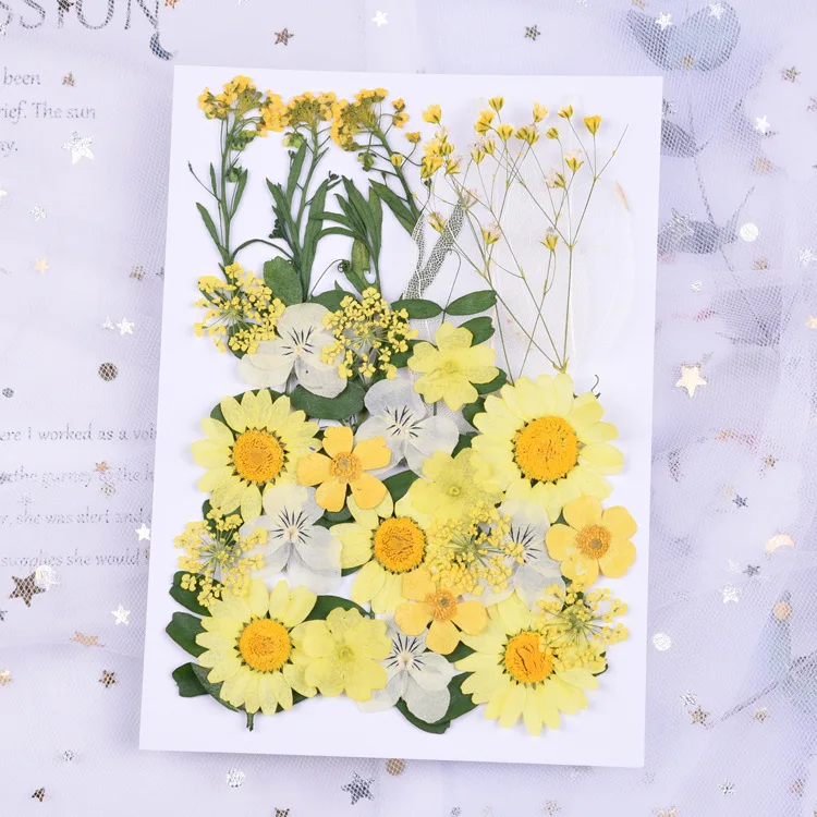 

Wholesale DIY Mixed Dry Pressed 3D Real Natural Colorful Dried Flowers For Nail Art, 12 colors