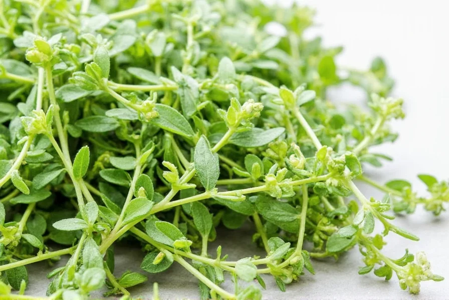 summer-savory-herb